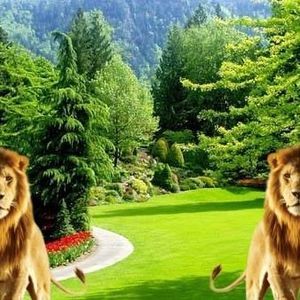 Meet your Posher, Abebaw